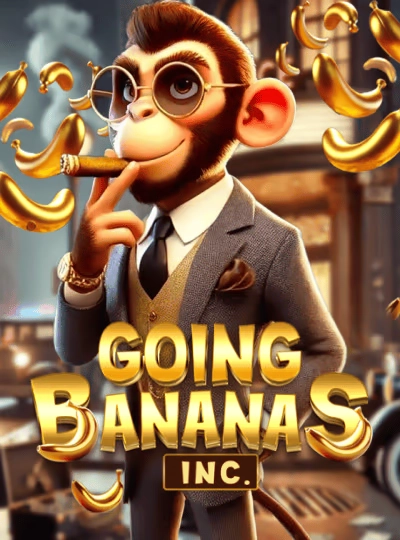 bdbagg
